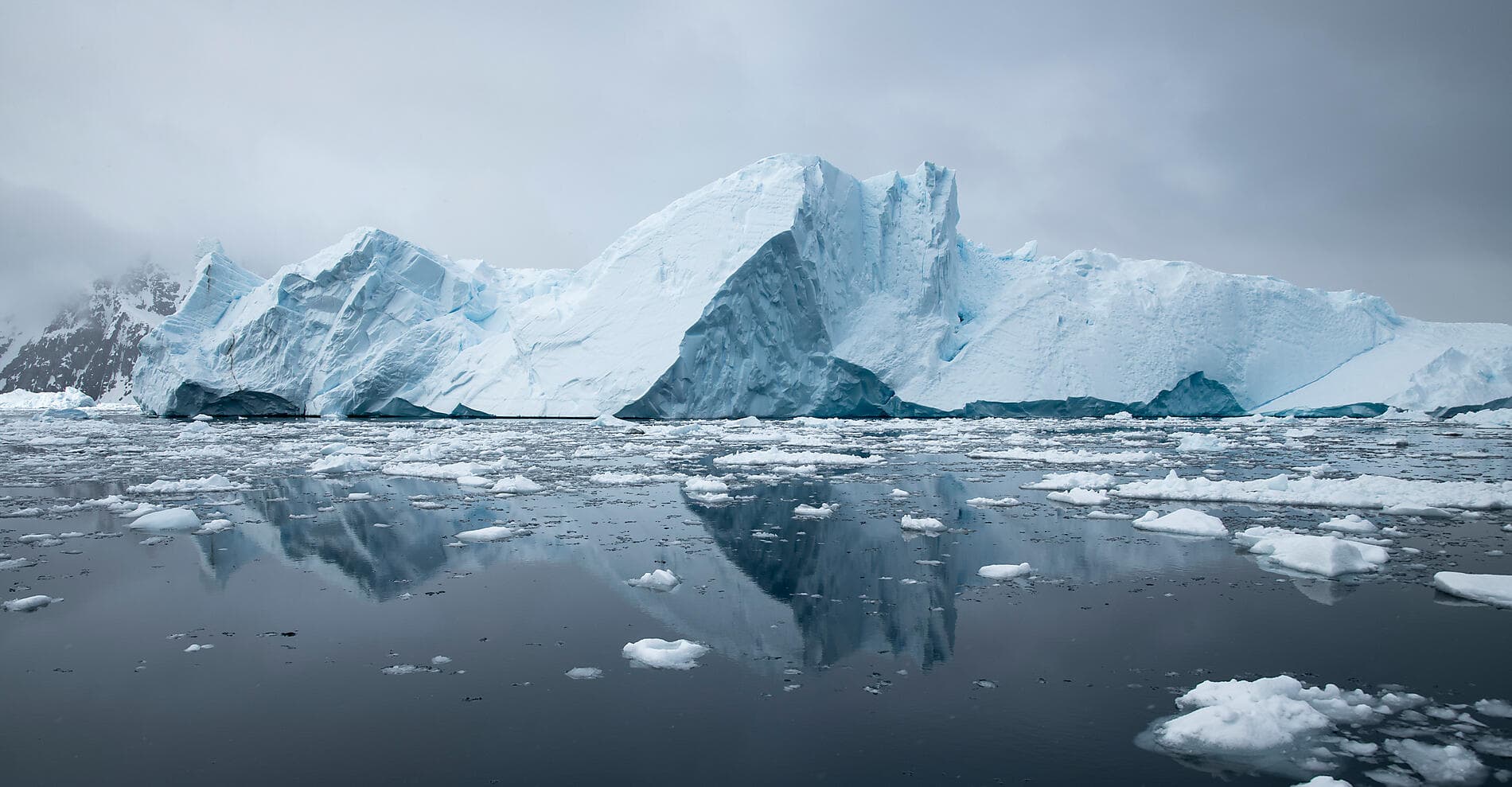 Voyage en terres australes et péninsule Valdés