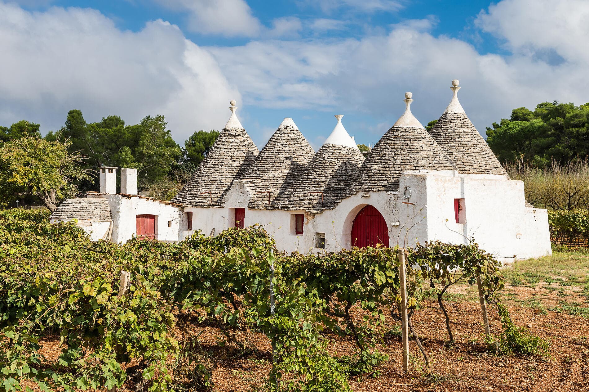 Ode à l'art : de la Sicile à la Biennale de Venise 