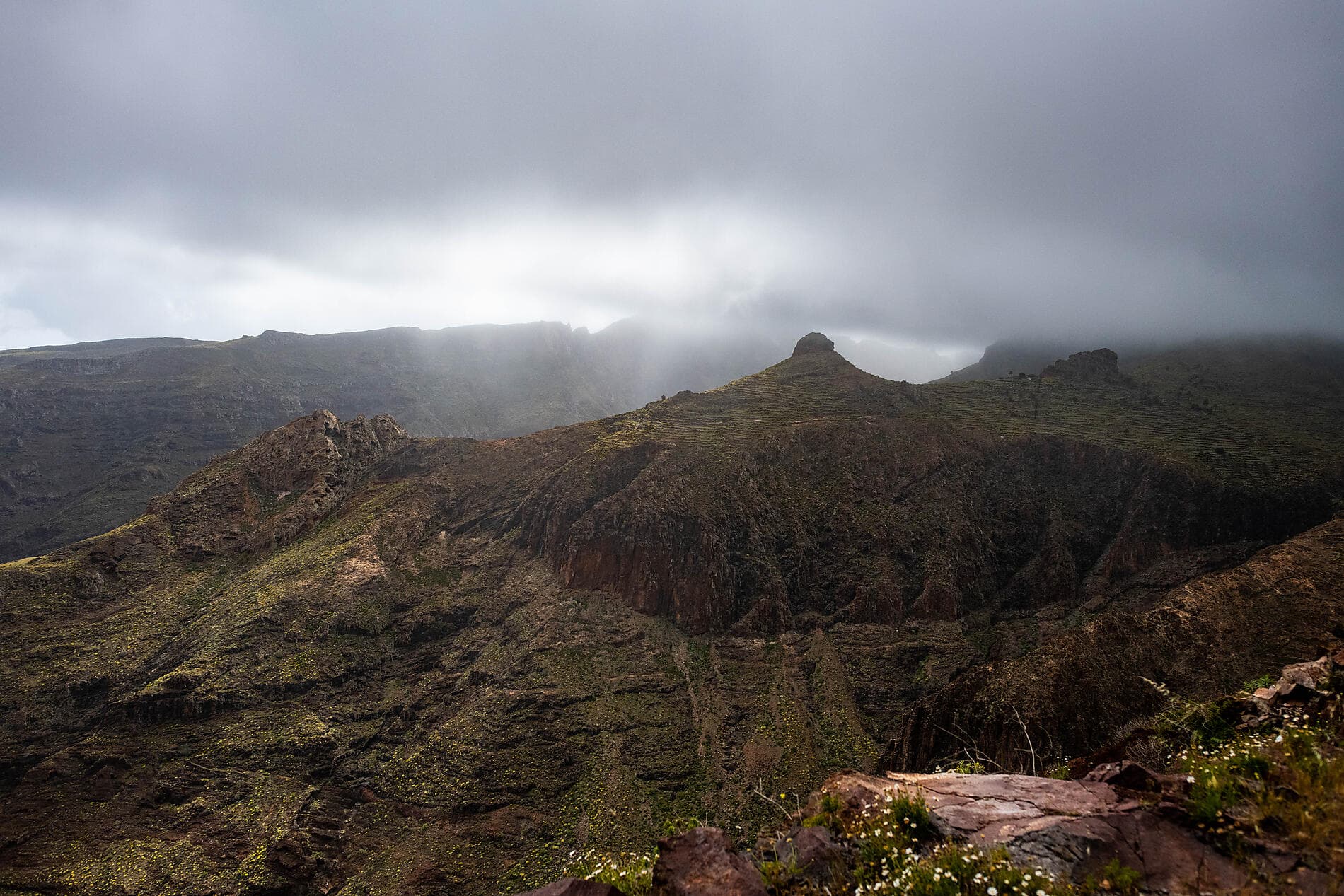 Les Canaries, terres de contrastes 