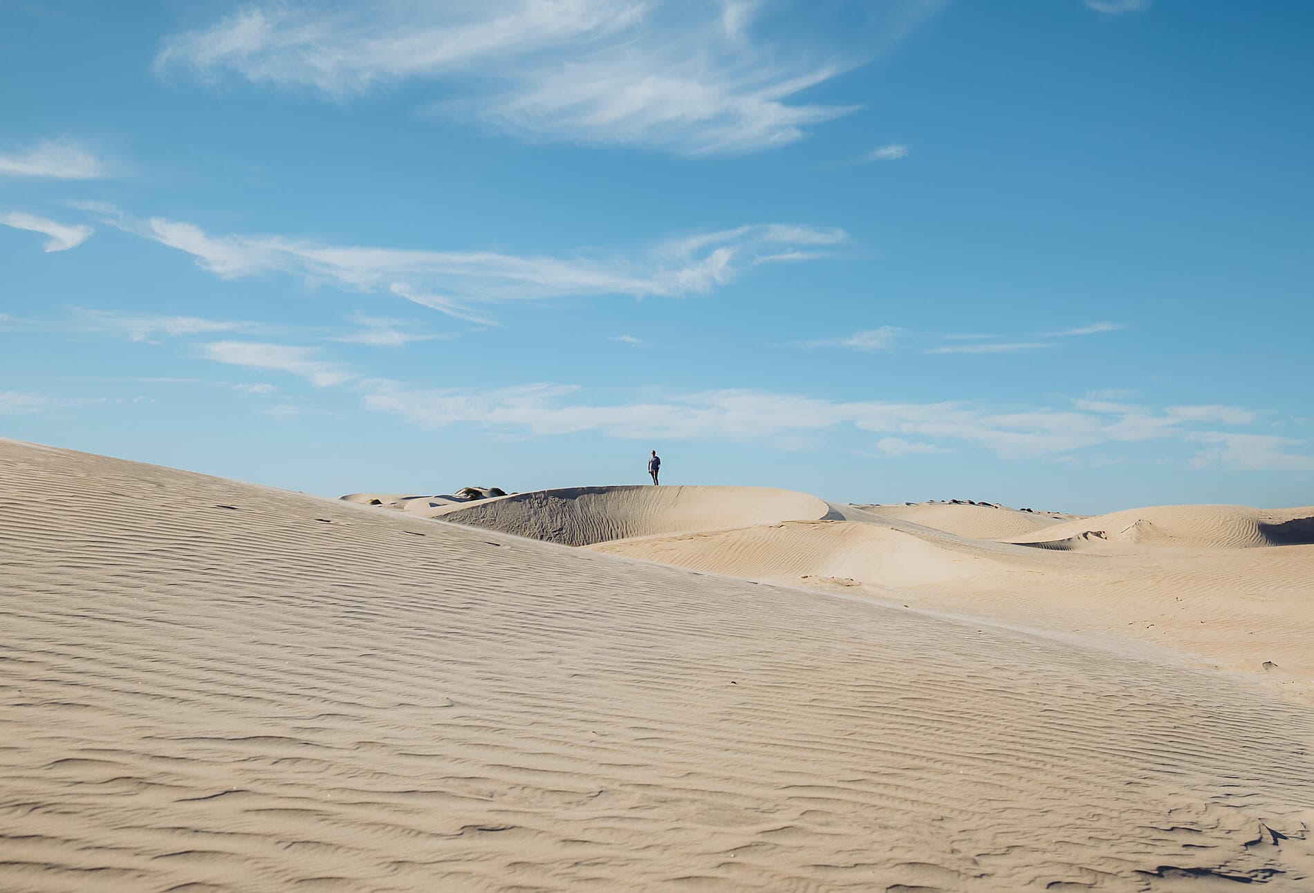 Exploration au cœur de la Basse-Californie