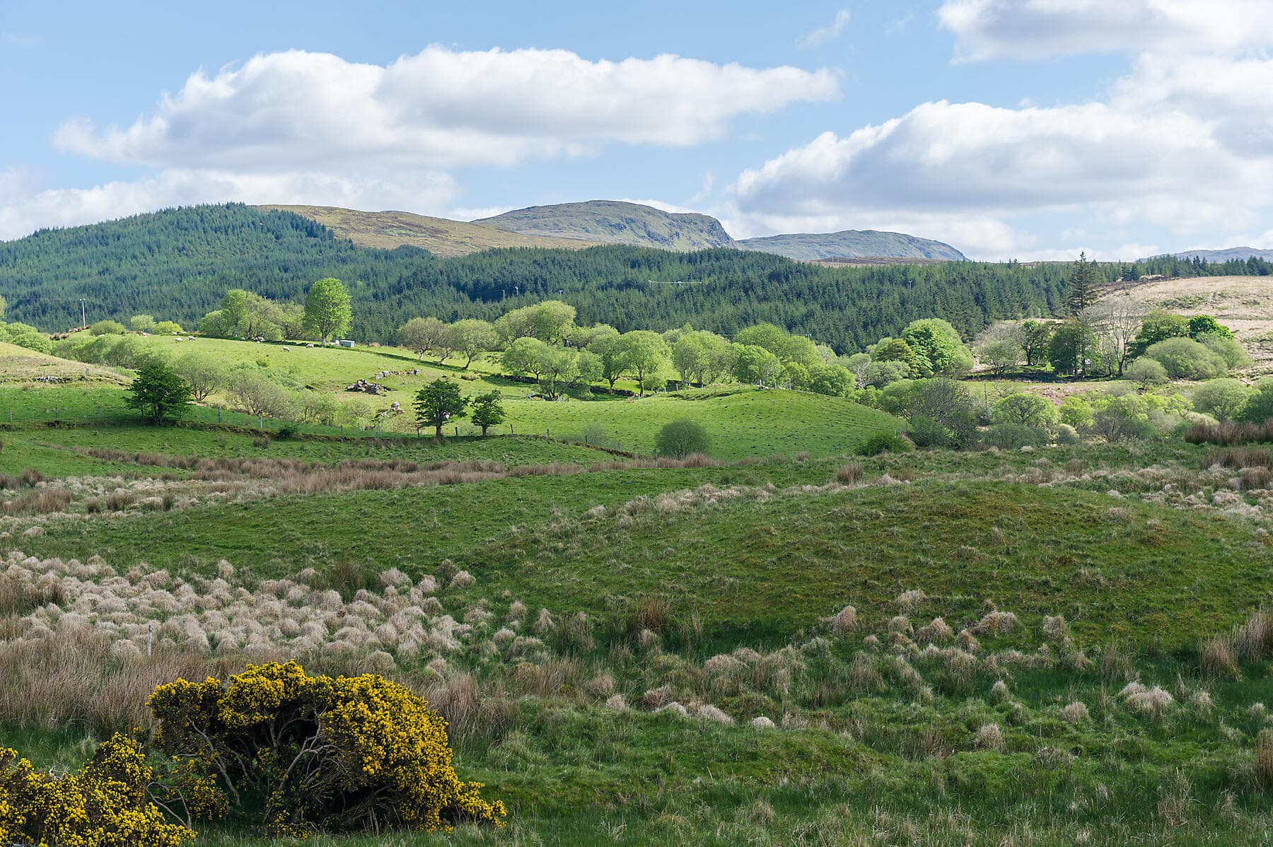 Autour de l’île d’Émeraude