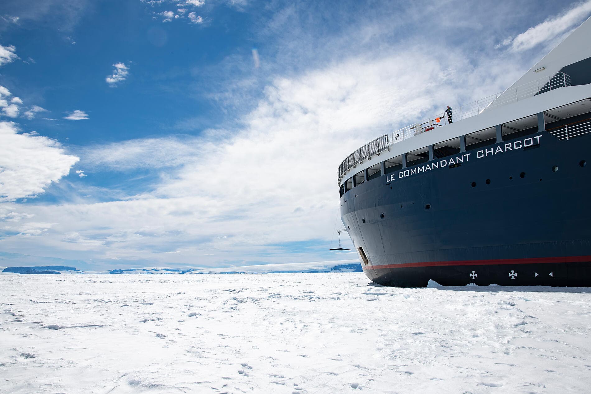 Les manchots empereurs de la mer de Weddell 