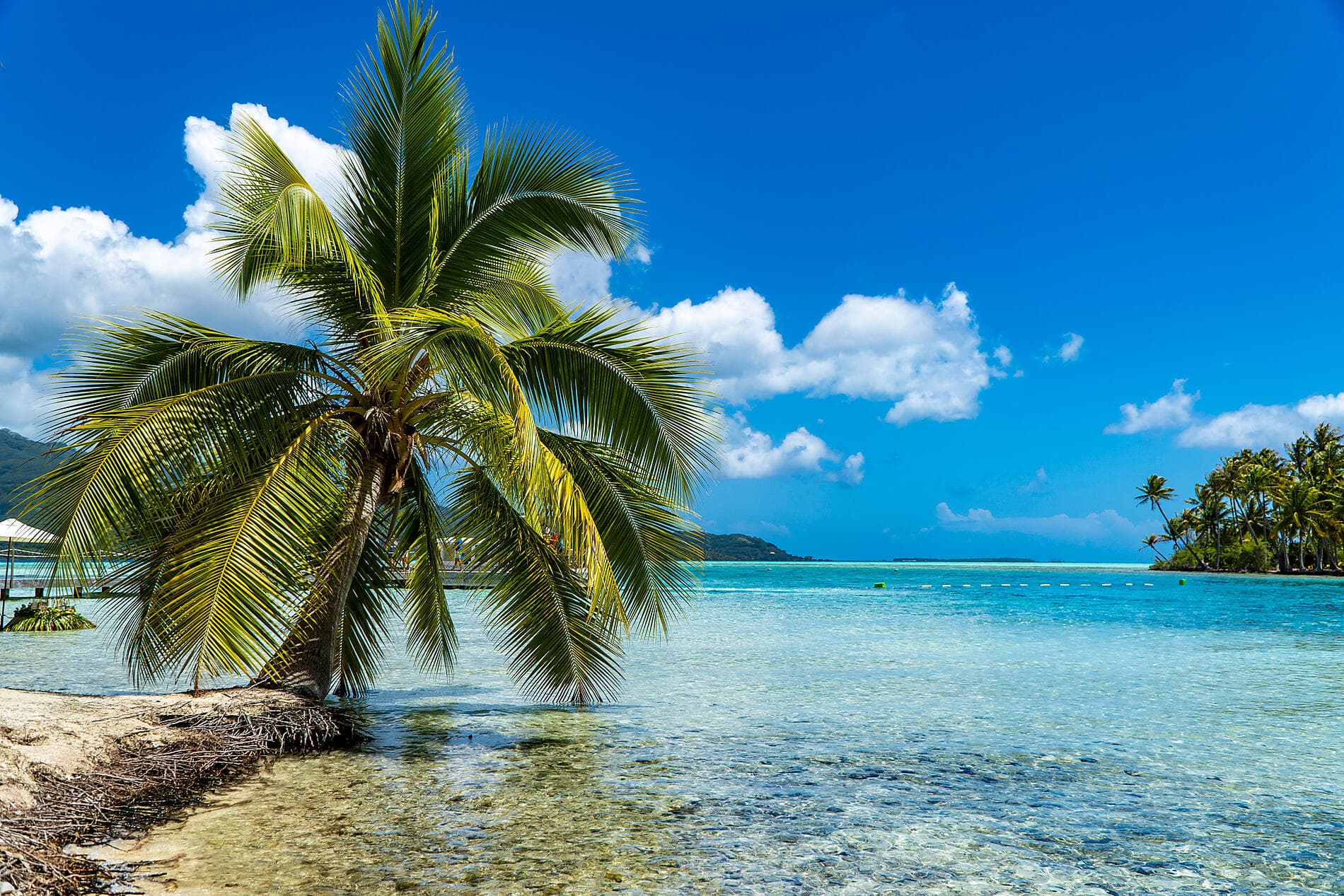 Tahiti et les îles de la Société