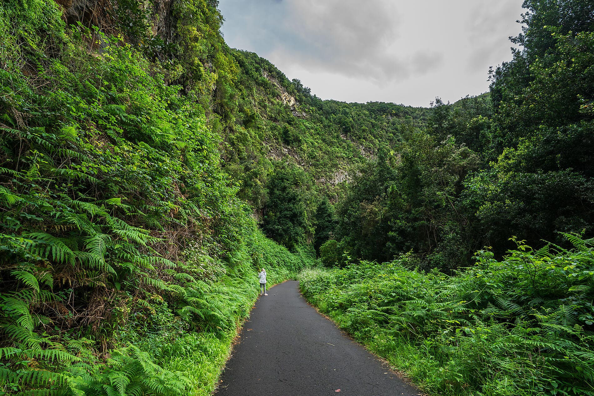 Îles volcaniques et cités historiques de l’Atlantique Nord