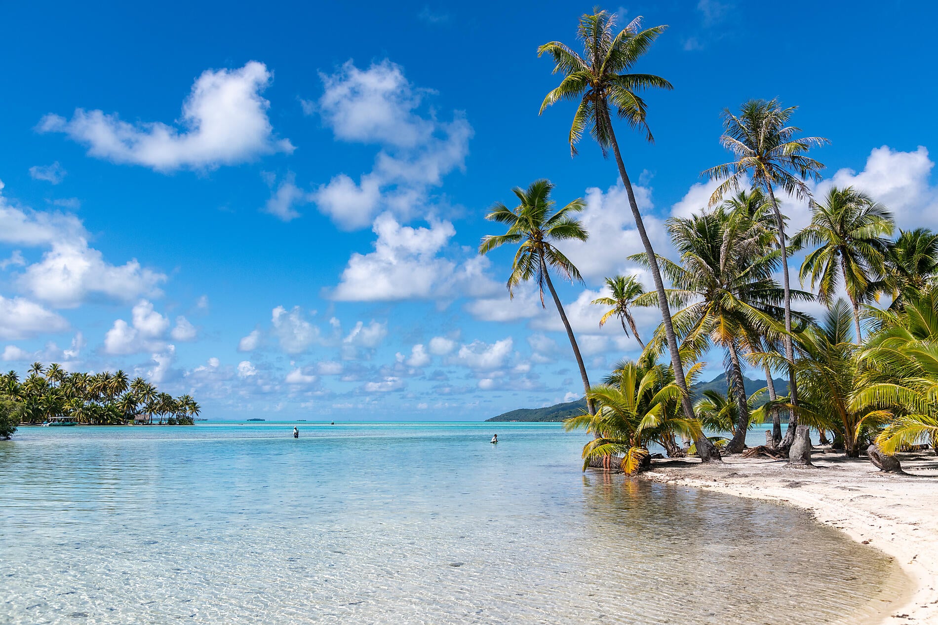 Marquises, Tuamotu et îles de la Société