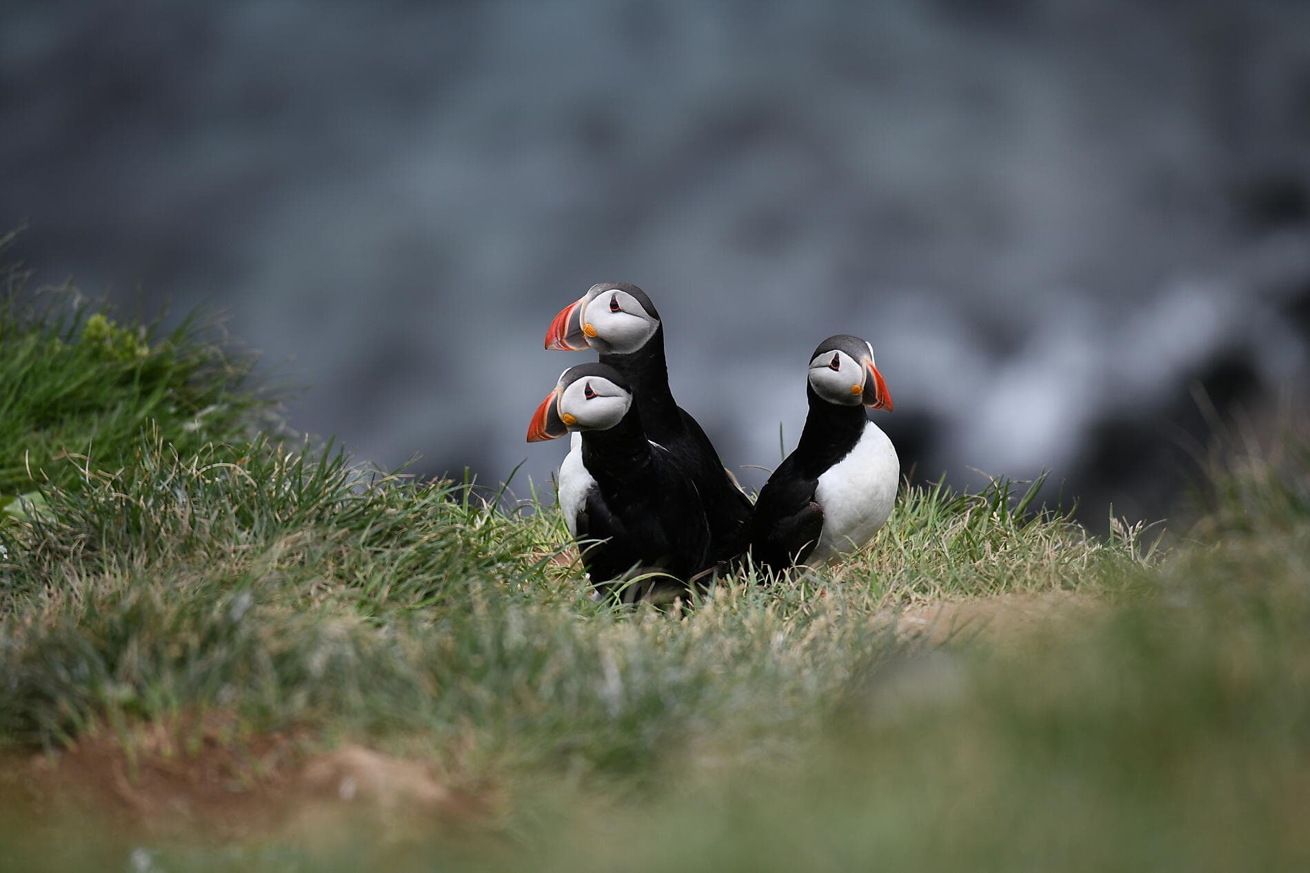 L'Islande avec Beethoven