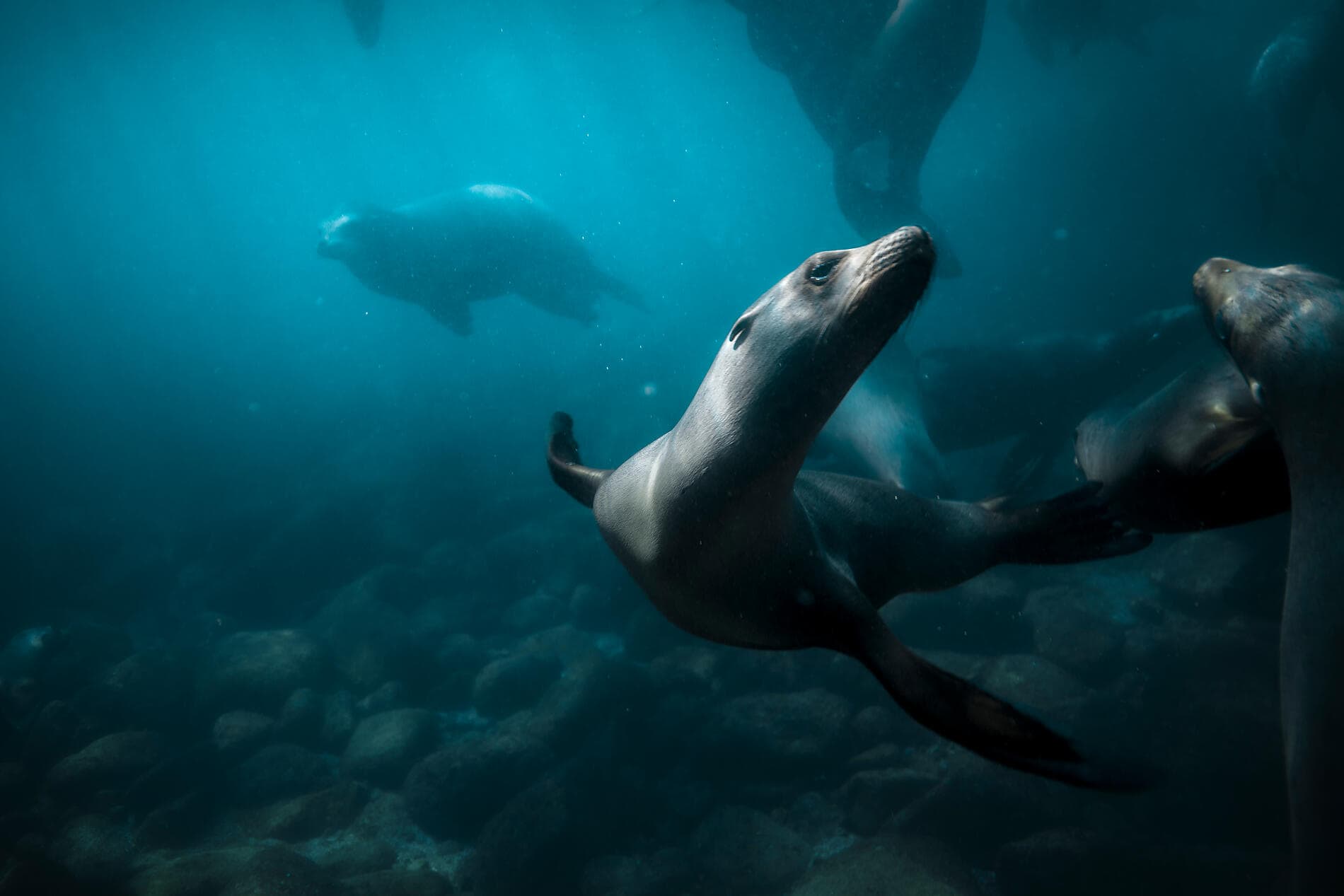 Exploration au cœur de la Basse-Californie