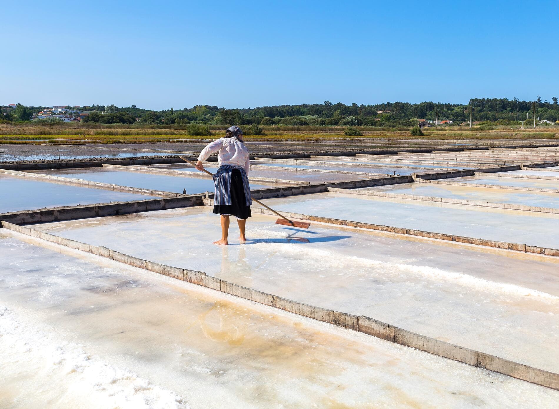 L'été au vert, de la mer du Nord à la péninsule ibérique