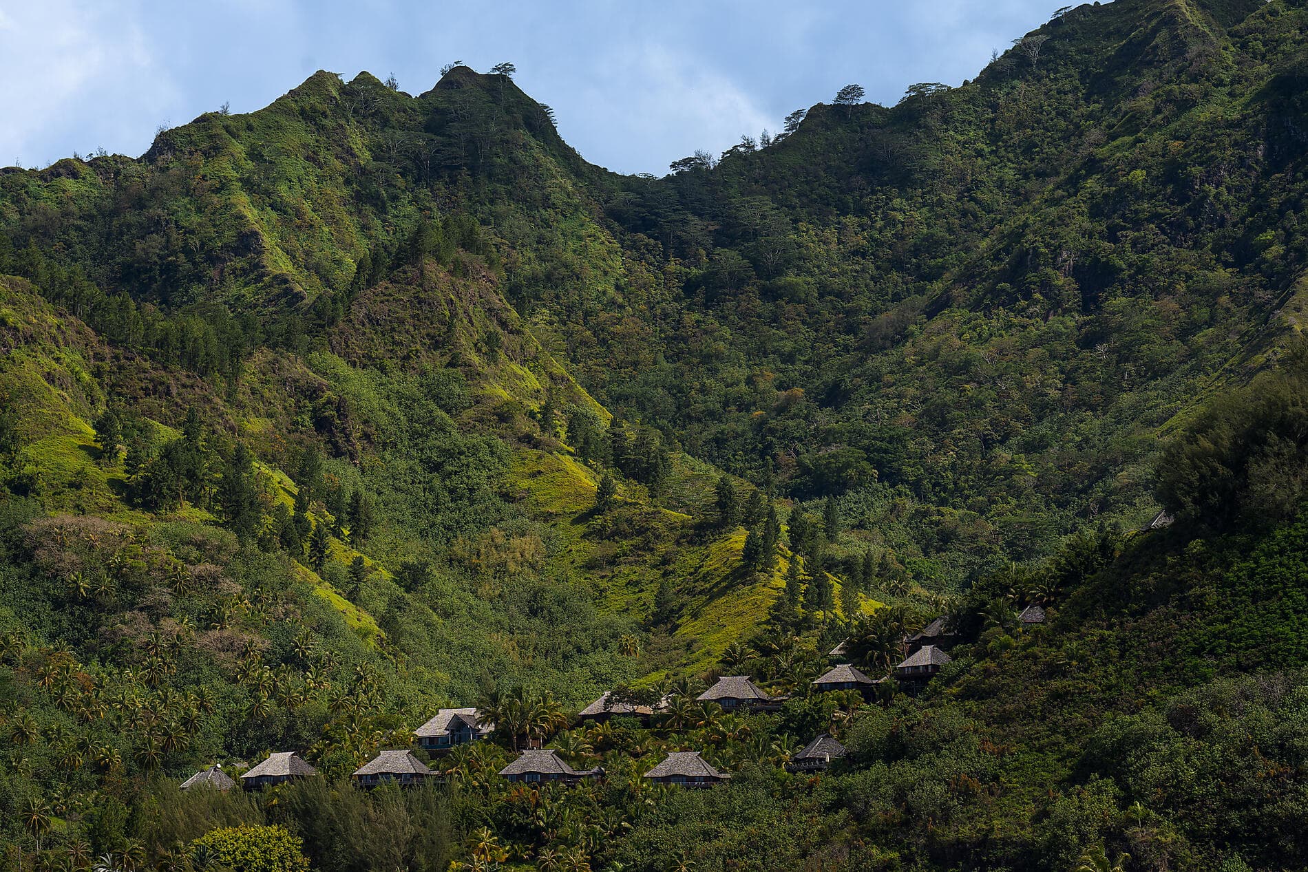 Îles de la Société et Tuamotu